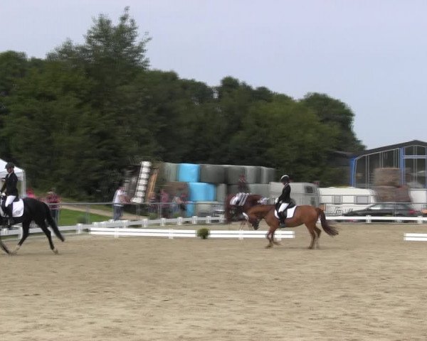 Reitturnier Bühren-Breckerfeld 2017