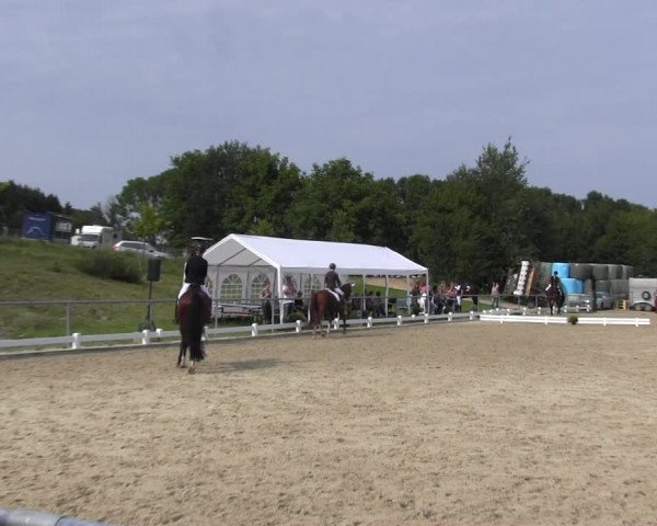 Reitturnier Bühren-Breckerfeld 2017