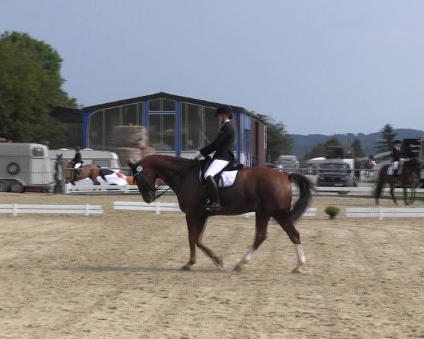 Reitturnier Bühren-Breckerfeld 2017