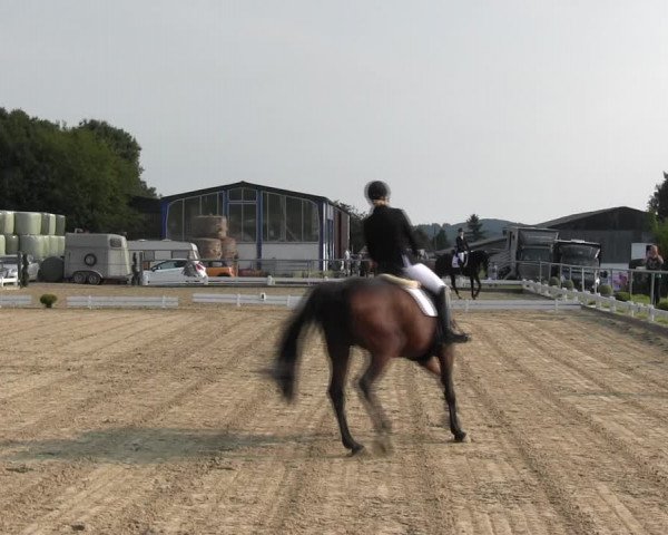 Reitturnier Bühren-Breckerfeld 2017