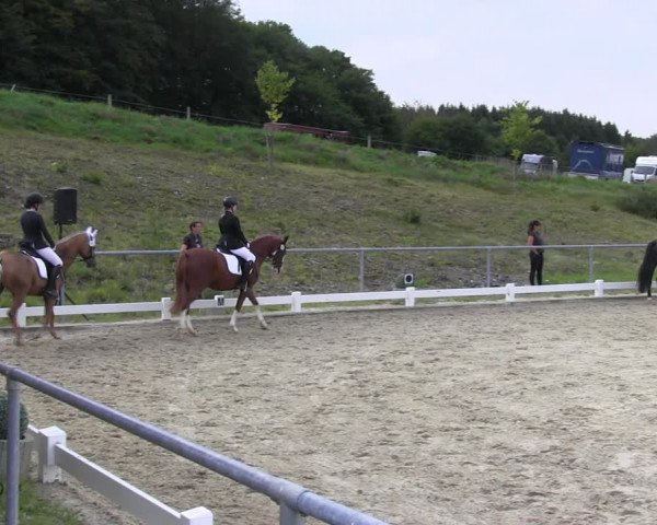 Reitturnier Bühren-Breckerfeld 2017