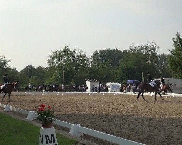 Reitturnier Düren - An der Kuhbrücke 2017