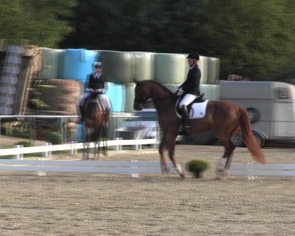 Reitturnier Bühren-Breckerfeld 2017