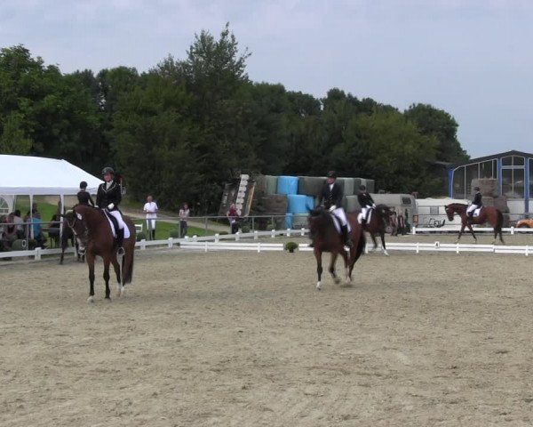 Reitturnier Bühren-Breckerfeld 2017