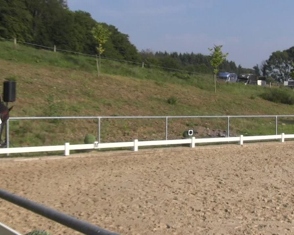 Reitturnier Bühren-Breckerfeld 2017