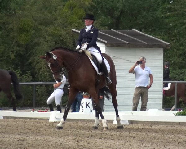 Reitturnier Düren - An der Kuhbrücke 2017