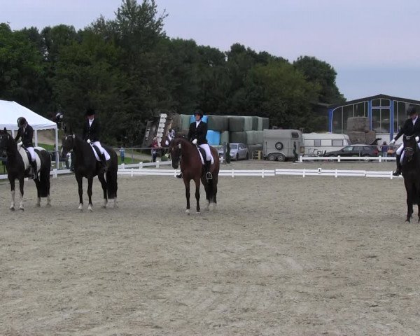 Reitturnier Bühren-Breckerfeld 2017
