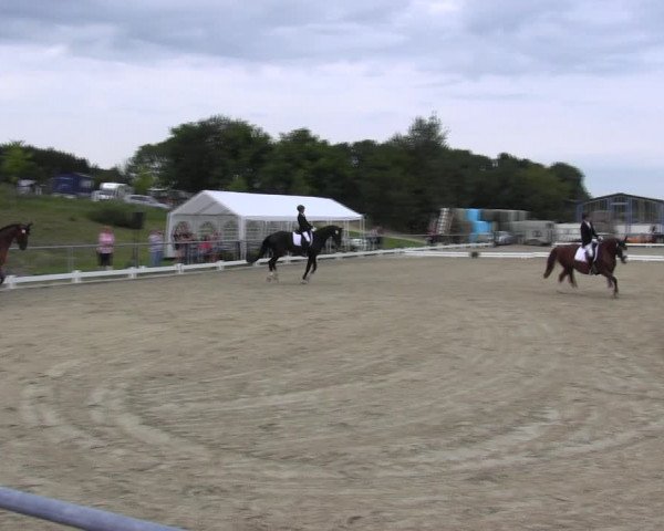 Reitturnier Bühren-Breckerfeld 2017