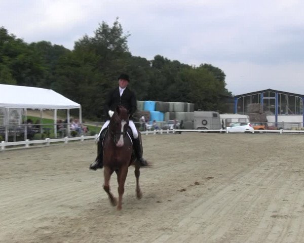 Reitturnier Bühren-Breckerfeld 2017