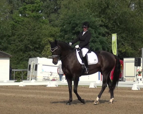 Reitturnier Düren - An der Kuhbrücke 2017