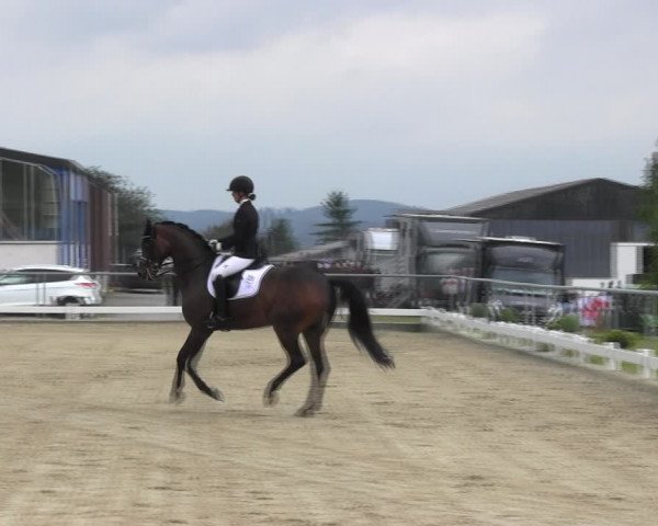Reitturnier Bühren-Breckerfeld 2017