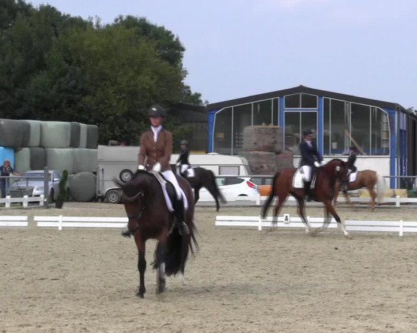Reitturnier Bühren-Breckerfeld 2017
