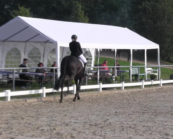 Reitturnier Bühren-Breckerfeld 2017