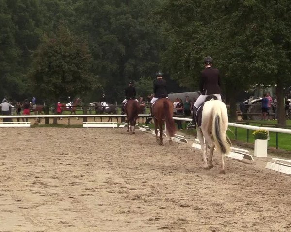 Reitturnier Recklinghausen 2017