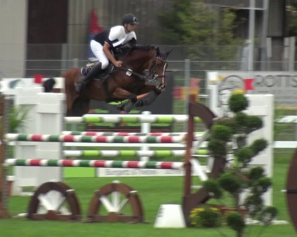 Reitturnier Düren - An der Kuhbrücke 2017