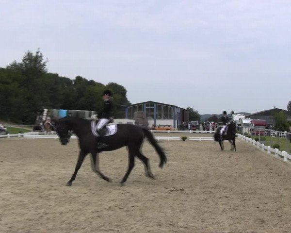 Reitturnier Bühren-Breckerfeld 2017