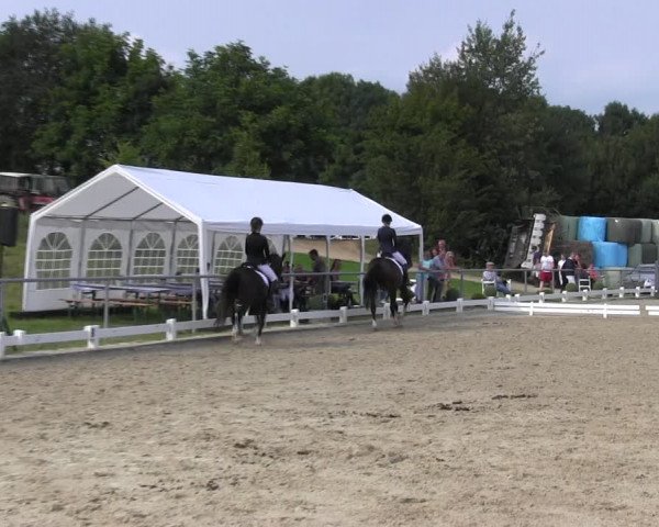 Reitturnier Bühren-Breckerfeld 2017