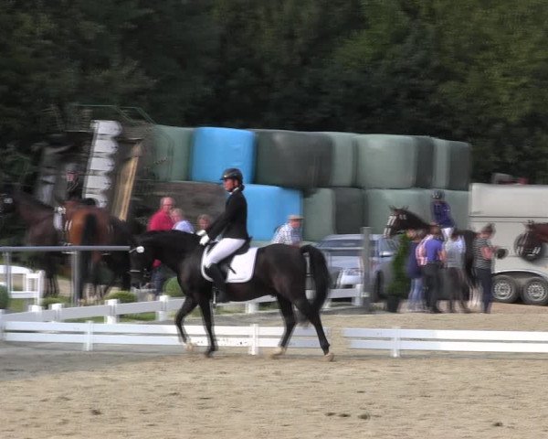Reitturnier Bühren-Breckerfeld 2017