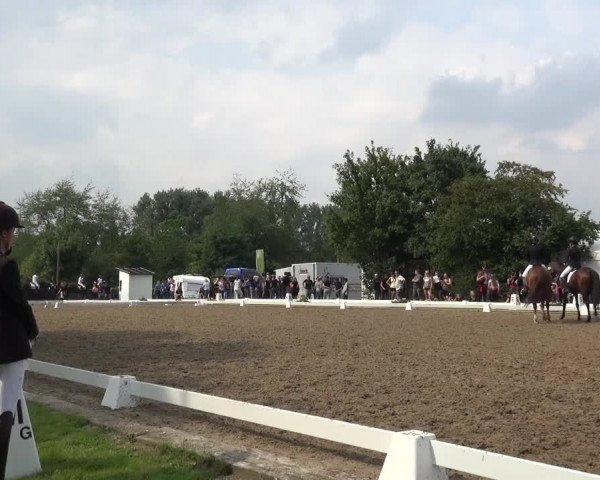 Reitturnier Düren - An der Kuhbrücke 2017