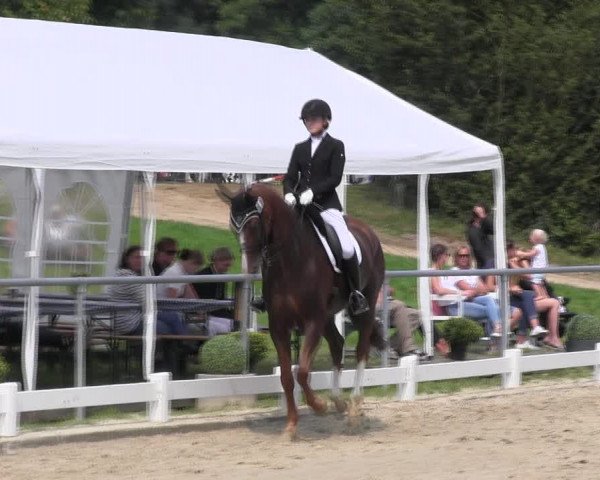 Reitturnier Bühren-Breckerfeld 2017