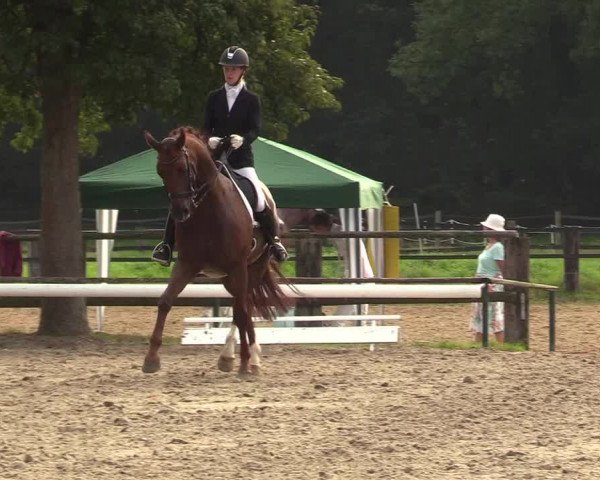 Reitturnier Recklinghausen 2017