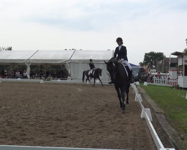 Reitturnier Düren - An der Kuhbrücke 2017