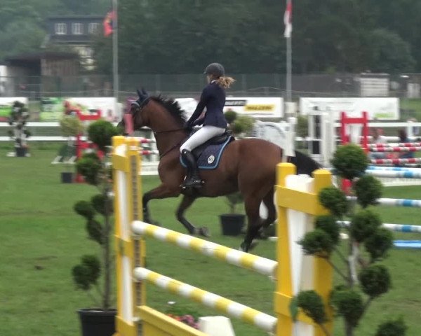 Reitturnier Düren - An der Kuhbrücke 2017