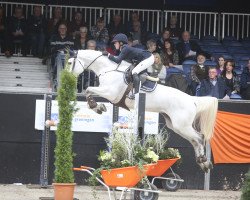 jumper Bluebelle (KWPN (Royal Dutch Sporthorse), 2006, from Cartano)