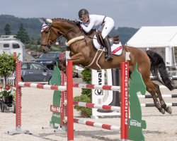 jumper Quberth von Worrenberg (Swiss Warmblood, 2010, from Quality 9)