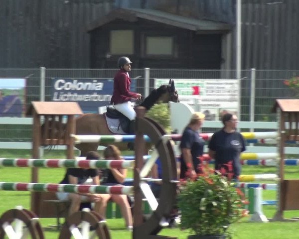 Reitturnier Düren - An der Kuhbrücke 2017