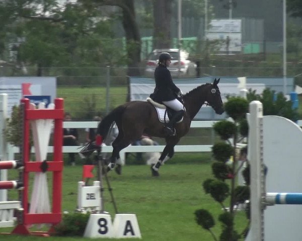 Reitturnier Düren - An der Kuhbrücke 2017