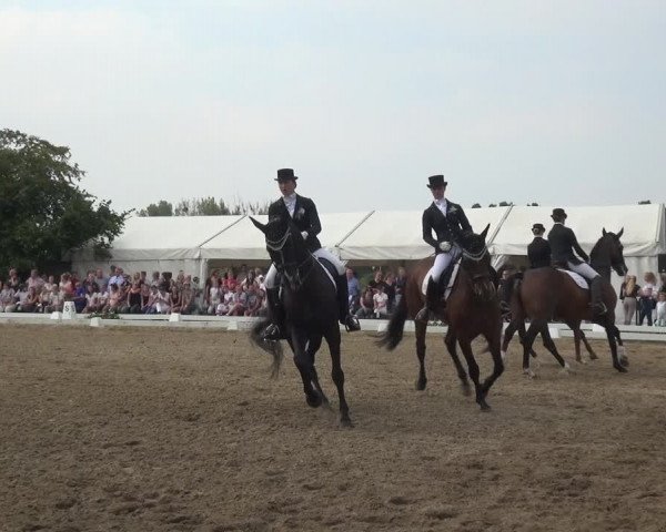 Reitturnier Düren - An der Kuhbrücke 2017