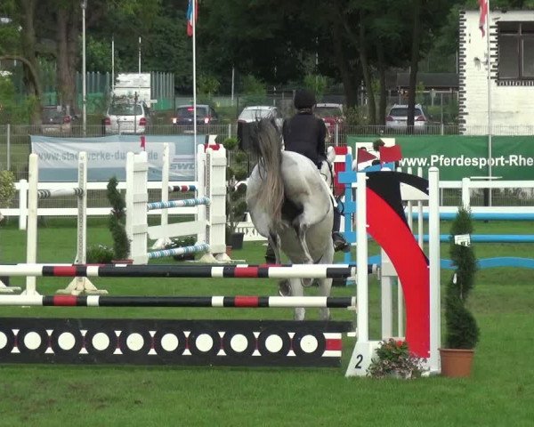 Reitturnier Düren - An der Kuhbrücke 2017