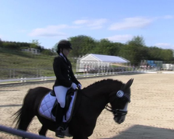 Reitturnier Bühren-Breckerfeld 2017