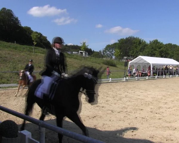 Reitturnier Bühren-Breckerfeld 2017