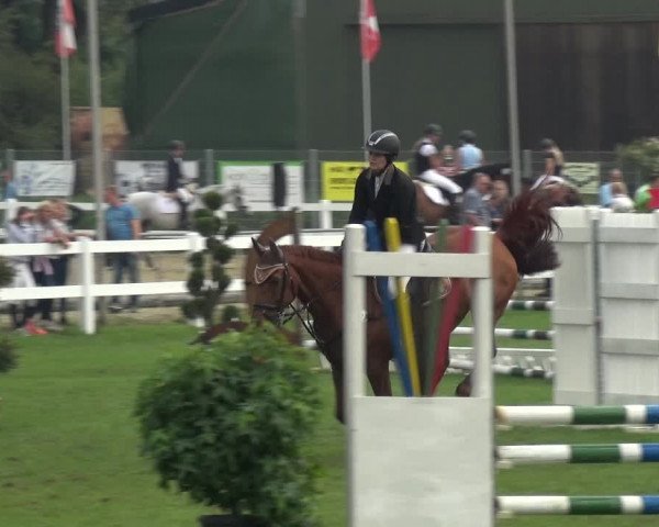 Reitturnier Düren - An der Kuhbrücke 2017