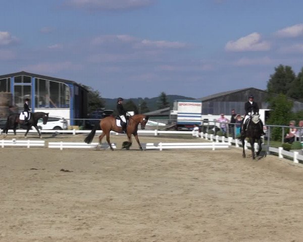 Reitturnier Bühren-Breckerfeld 2017
