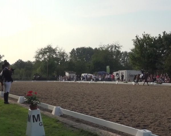 Reitturnier Düren - An der Kuhbrücke 2017