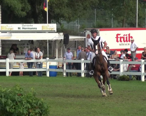 Reitturnier Düren - An der Kuhbrücke 2017