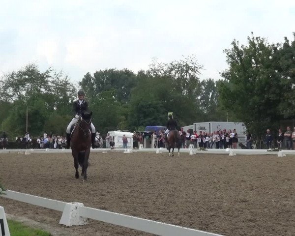 Reitturnier Düren - An der Kuhbrücke 2017