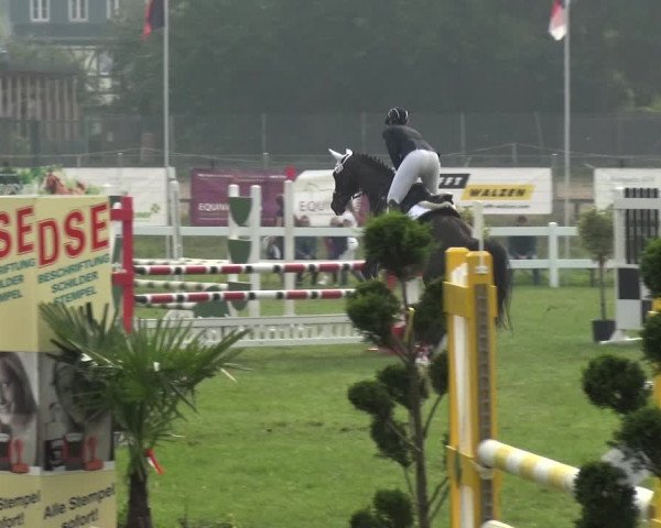 Reitturnier Düren - An der Kuhbrücke 2017