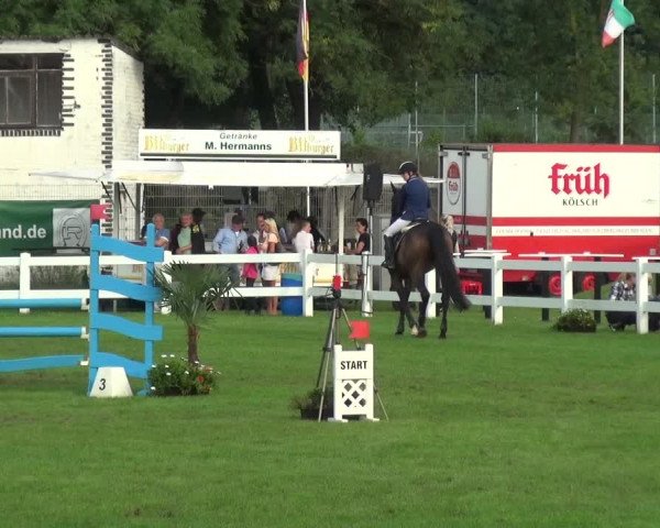 Reitturnier Düren - An der Kuhbrücke 2017