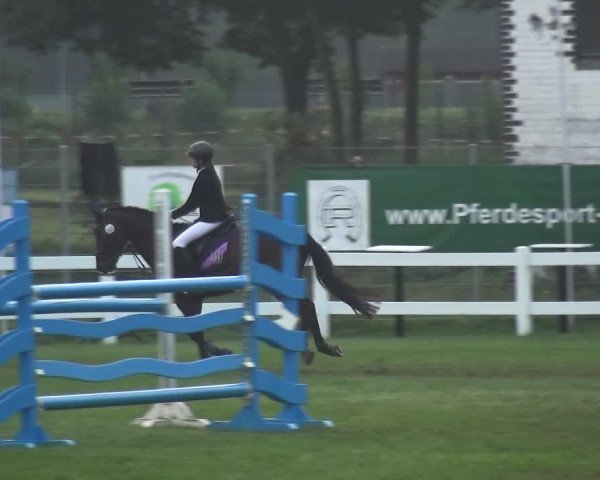 Reitturnier Düren - An der Kuhbrücke 2017