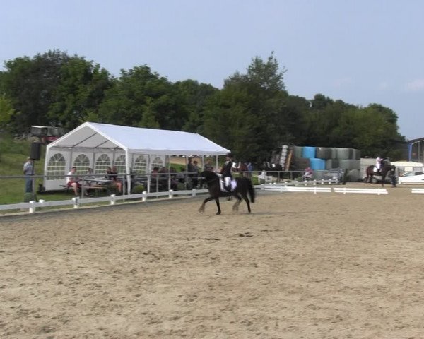 Reitturnier Bühren-Breckerfeld 2017