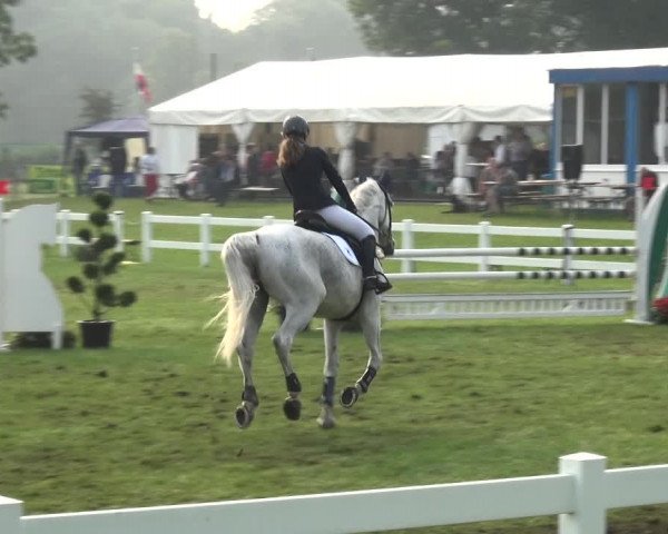 Reitturnier Düren - An der Kuhbrücke 2017