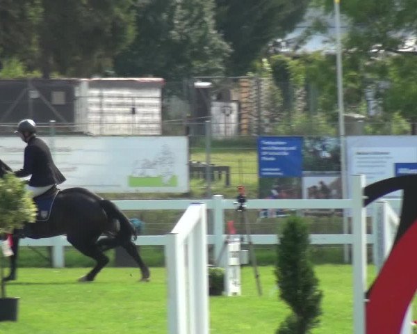 Reitturnier Düren - An der Kuhbrücke 2017