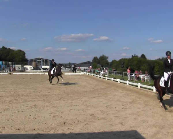 Reitturnier Bühren-Breckerfeld 2017