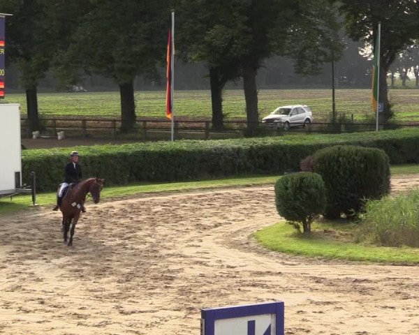 Reitturnier Recklinghausen 2017