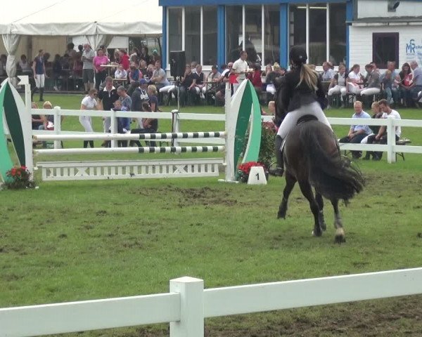 Reitturnier Düren - An der Kuhbrücke 2017