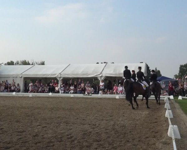 Reitturnier Düren - An der Kuhbrücke 2017